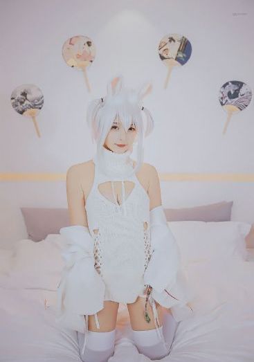 《云之羽》电视剧